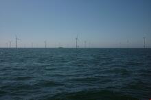 offshore_windpark_amrumbank.jpeg