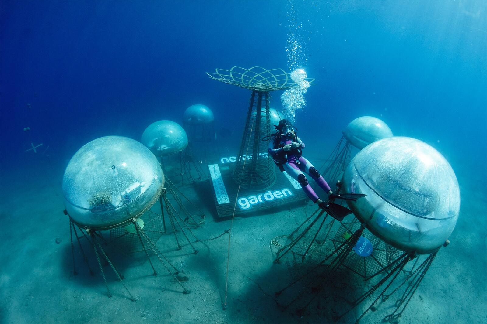 Die Biosphären von Nemo's Garden sind eine unvergleichliche Art von Unterwassergewächshaus, die die positiven Umweltfaktoren des Ozeans nutzen, um eine ideale ideale Umgebung für den Anbau von Pflanzen zu schaffen.